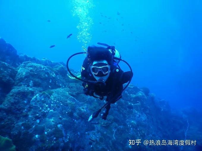 燃烧吧大脑装瓶子游戏