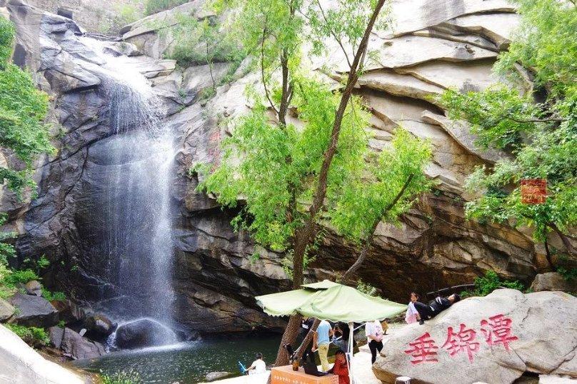 虫虫助手下载